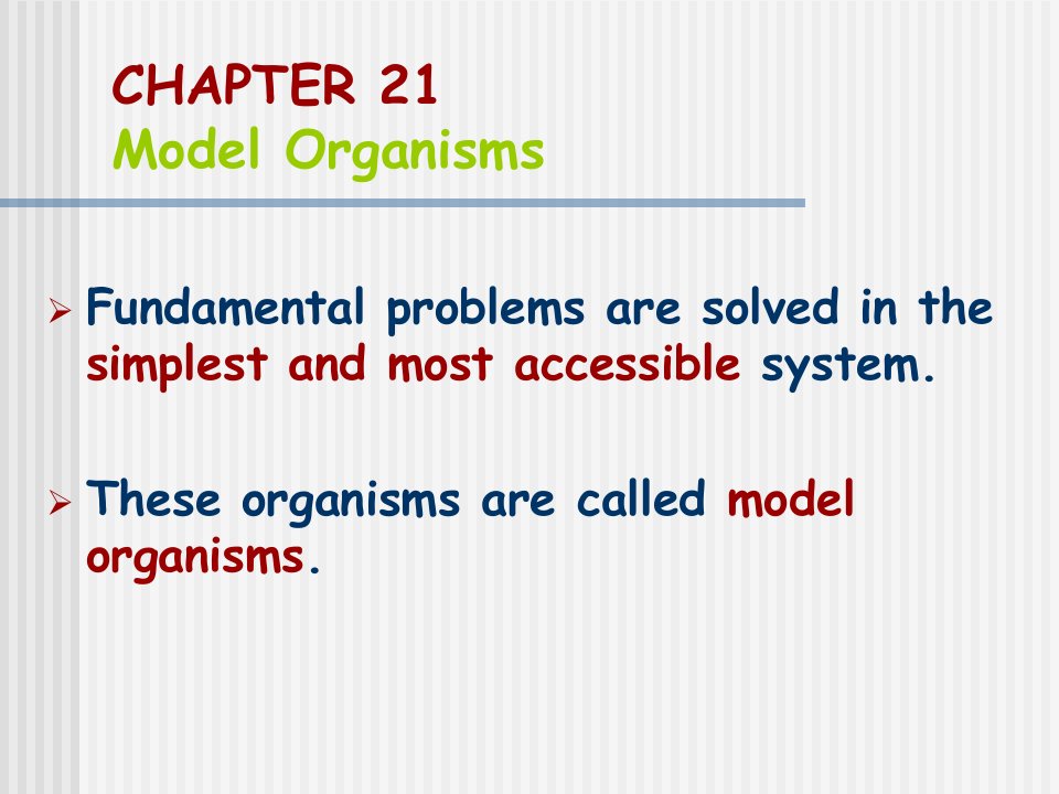 分子生物学1chapter21