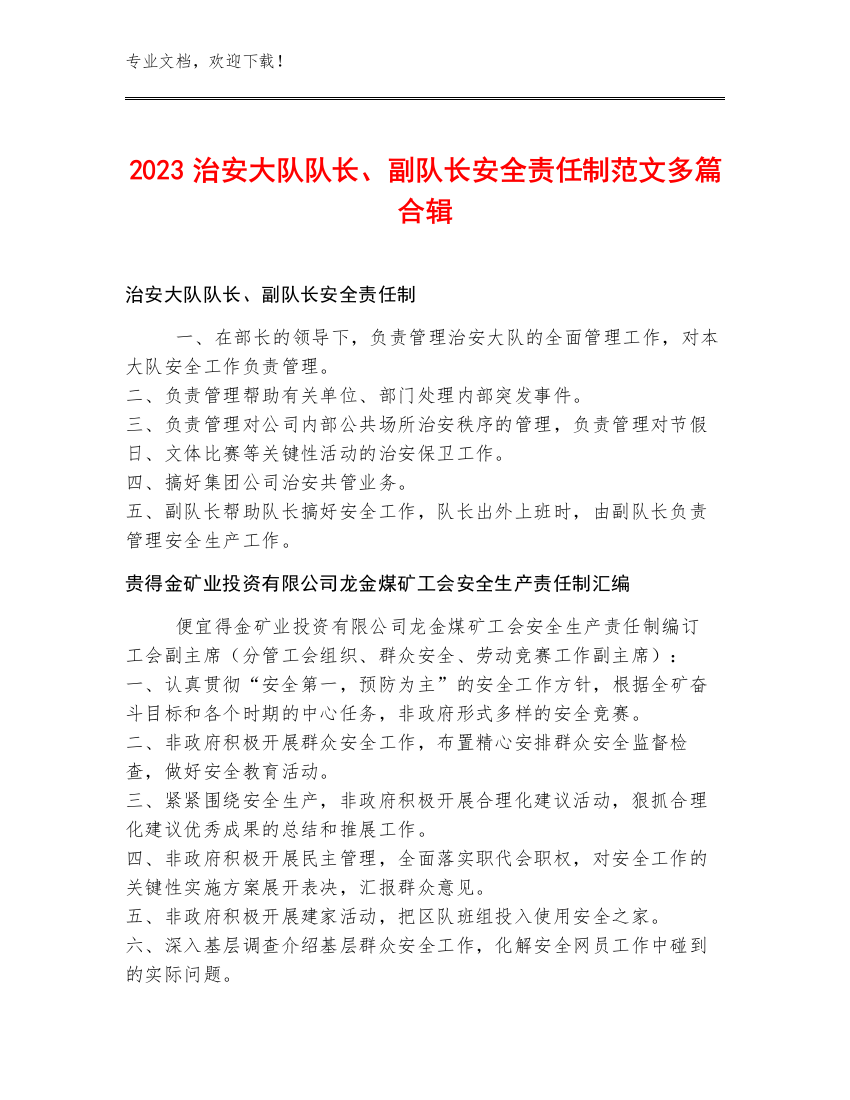 2023治安大队队长、副队长安全责任制范文多篇合辑