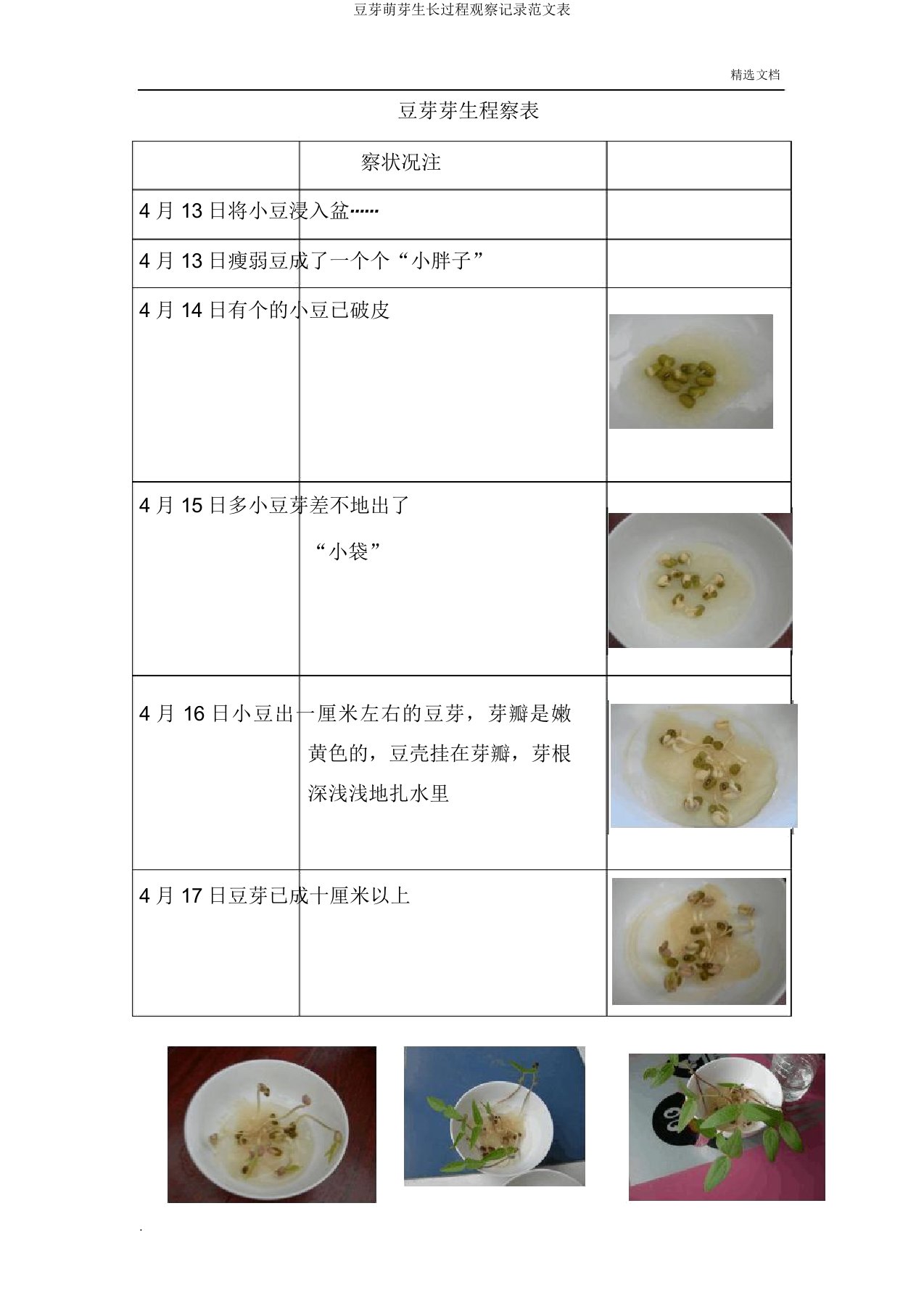 豆芽发芽生长过程观察记录范文表