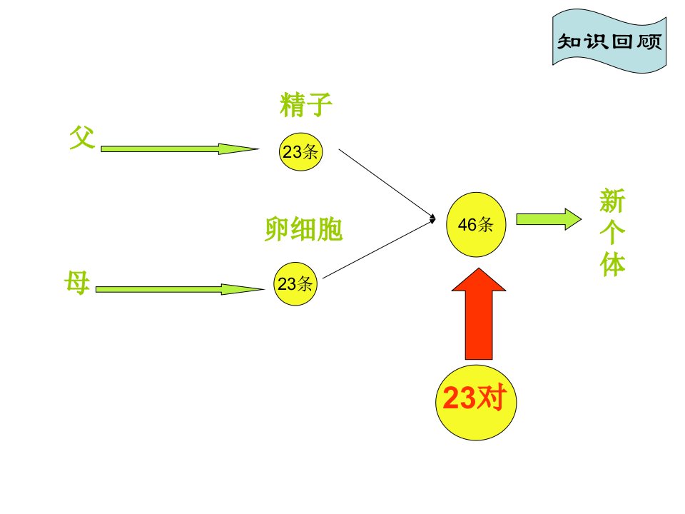 山东省潍坊高新技术产业开发区浞景学校八年级生物上册