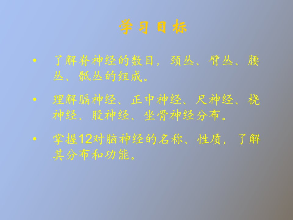 周围神经系统