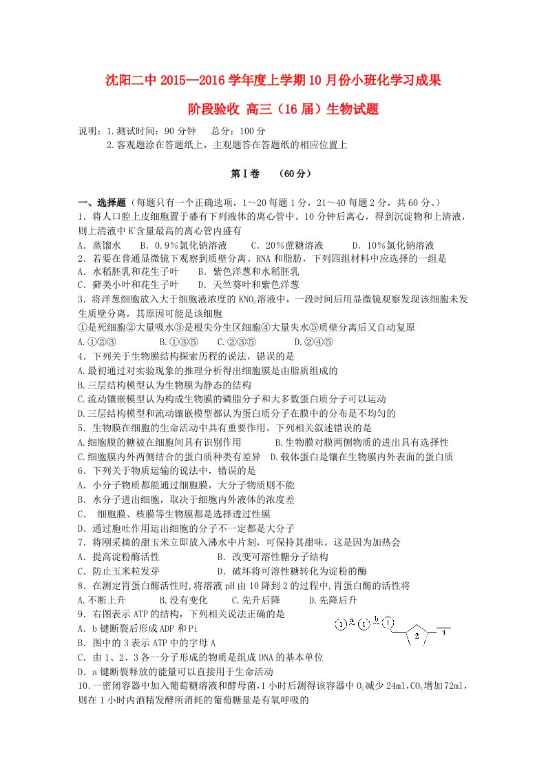 辽宁省沈阳二中2016届高三生物上学期10月月考试题