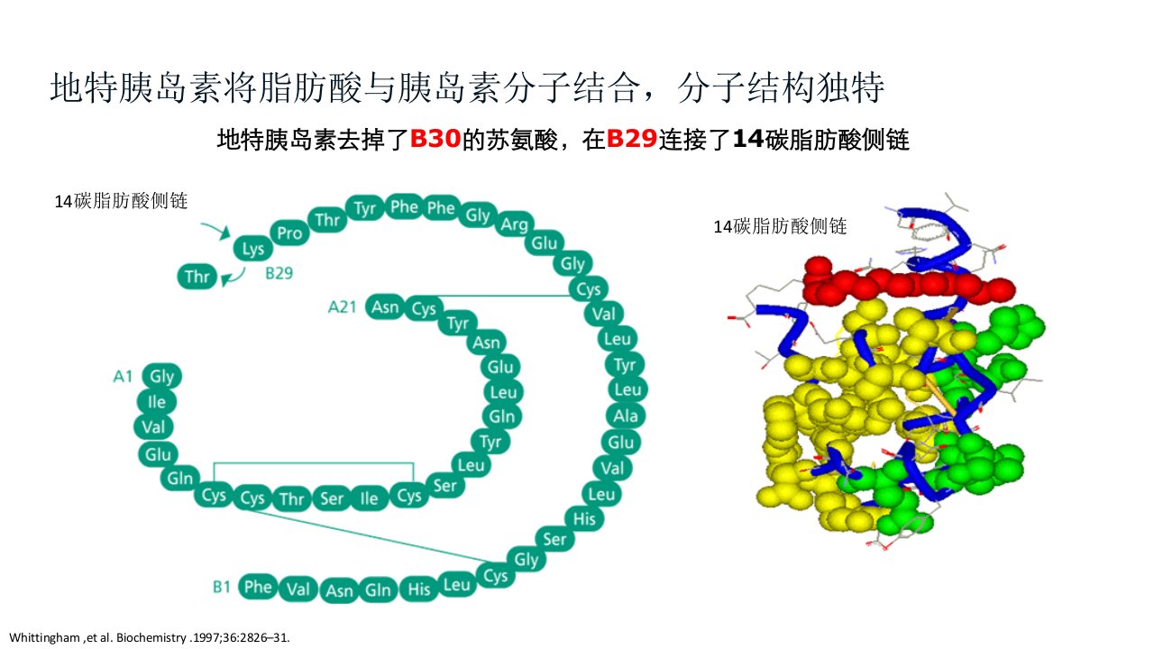 地特胰岛素关键信息解读ppt课件