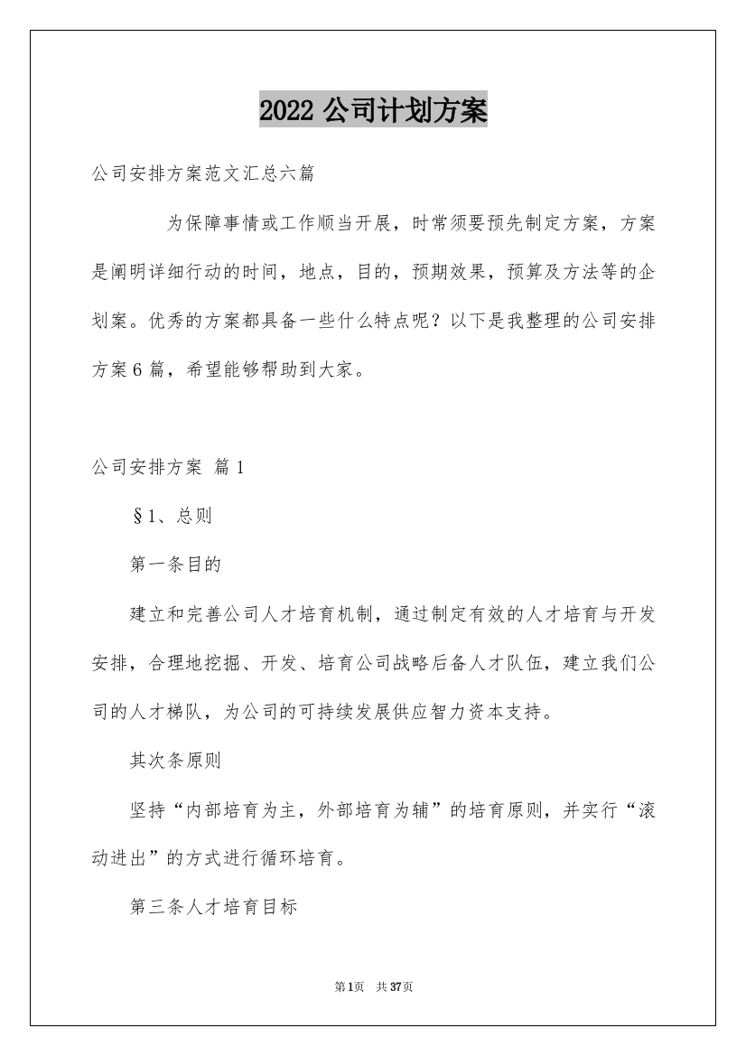 2022公司计划方案_1