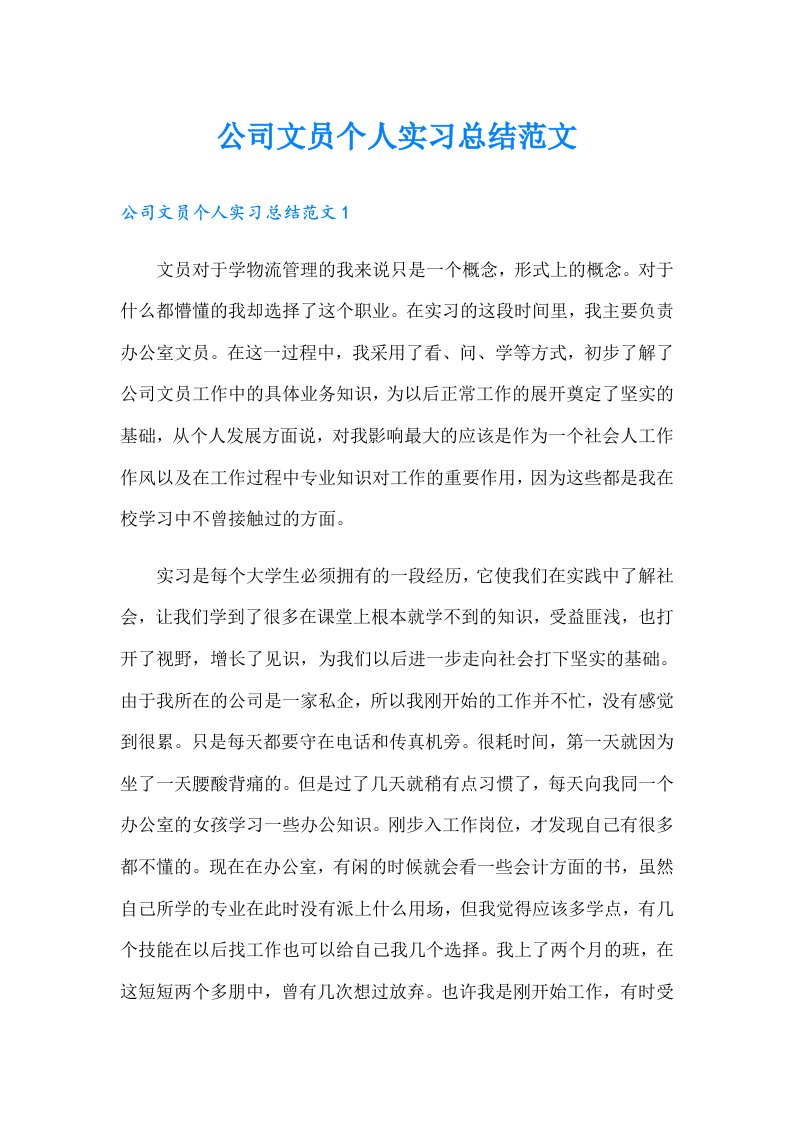 公司文员个人实习总结范文