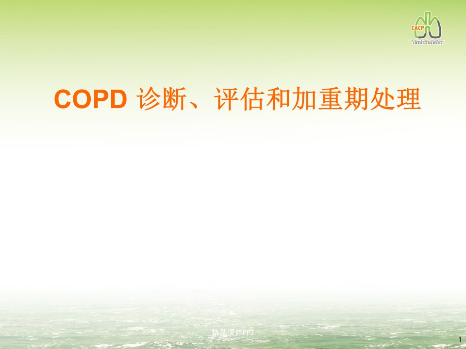 COPD的诊断与评估ppt课件