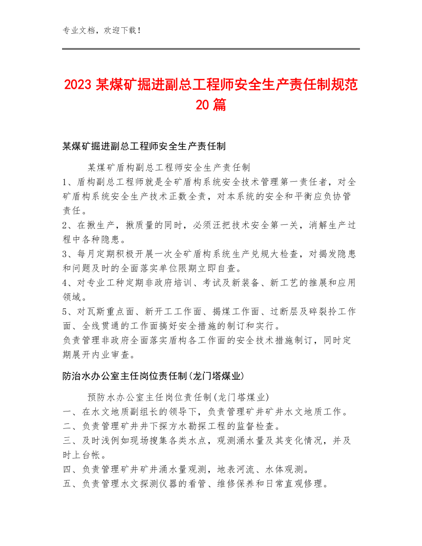 2023某煤矿掘进副总工程师安全生产责任制规范20篇