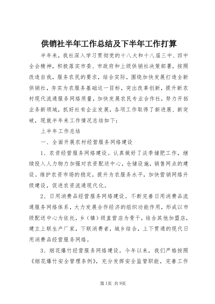 供销社半年工作总结及下半年工作打算_1