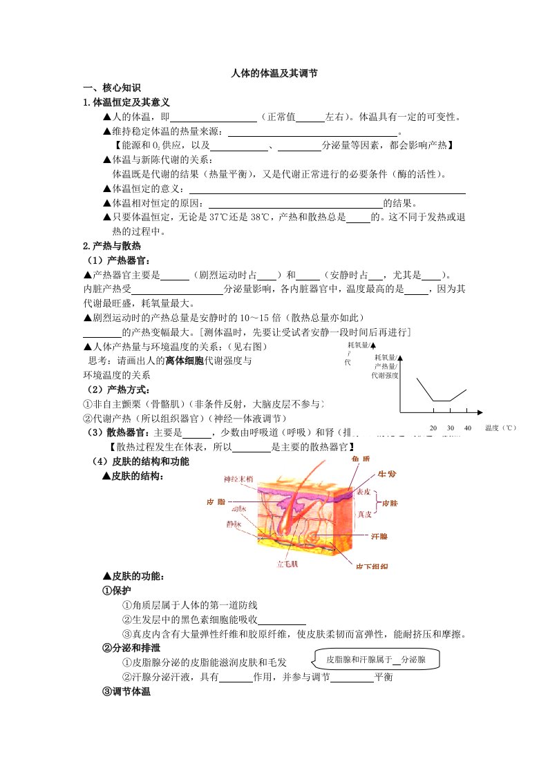 人体的体温及其调节