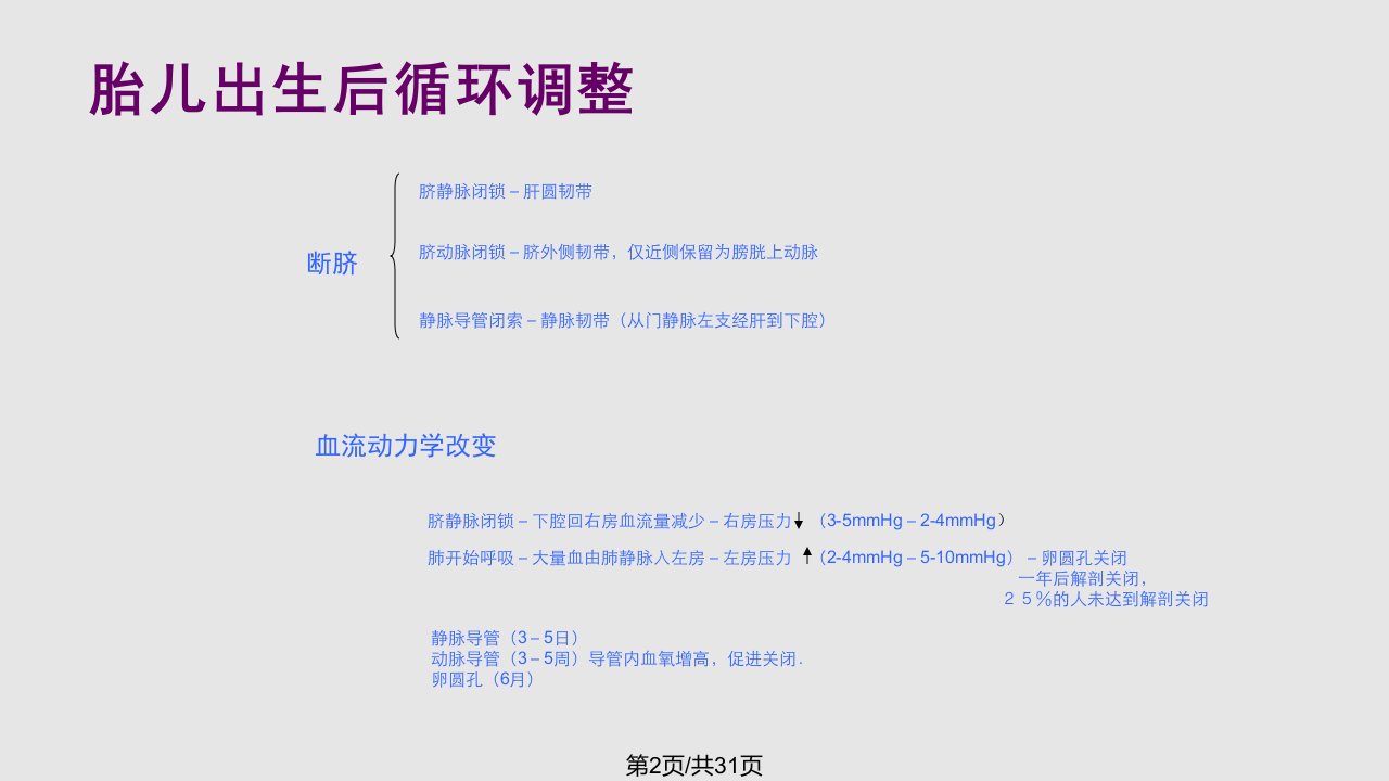 胎儿超声心动图ppt