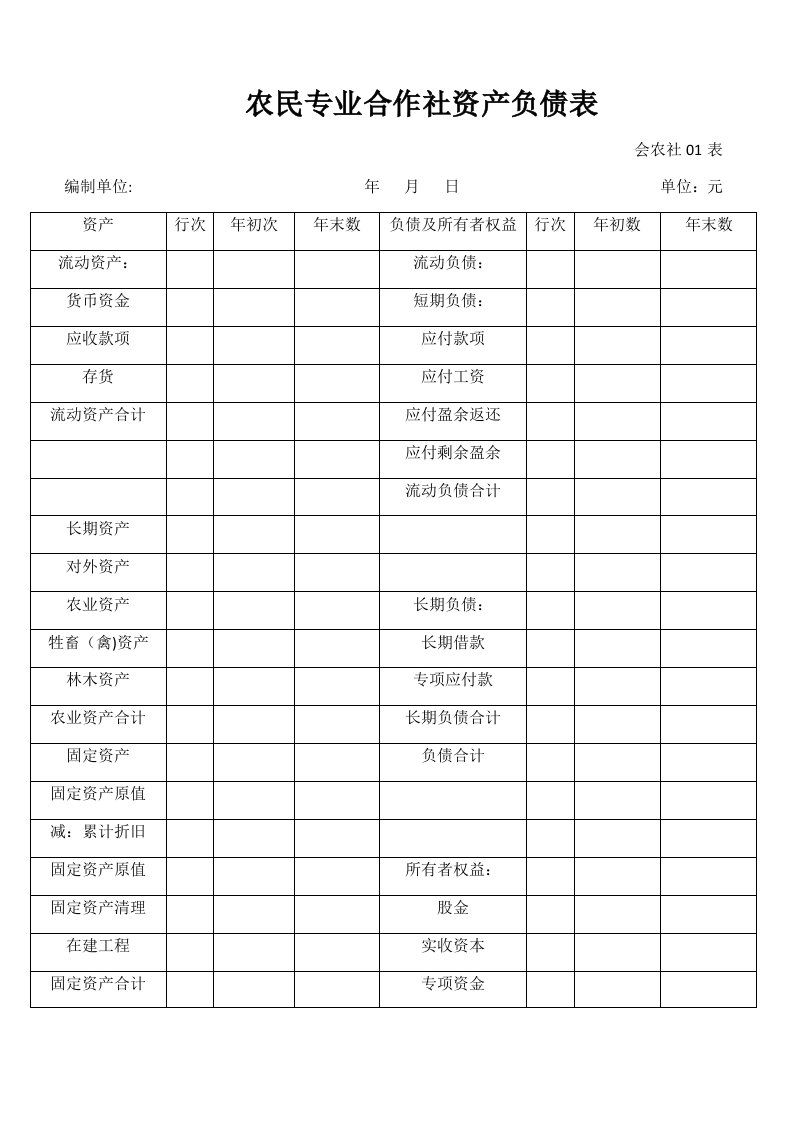 农民专业合作社资产负债表