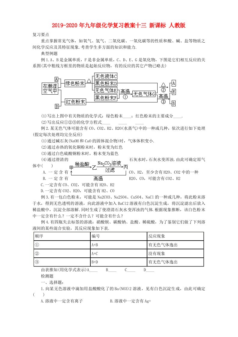 2019-2020年九年级化学复习教案十三