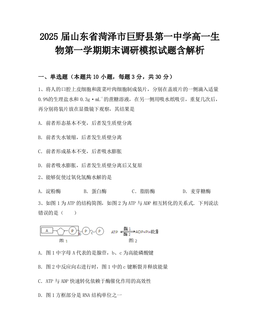 2025届山东省菏泽市巨野县第一中学高一生物第一学期期末调研模拟试题含解析