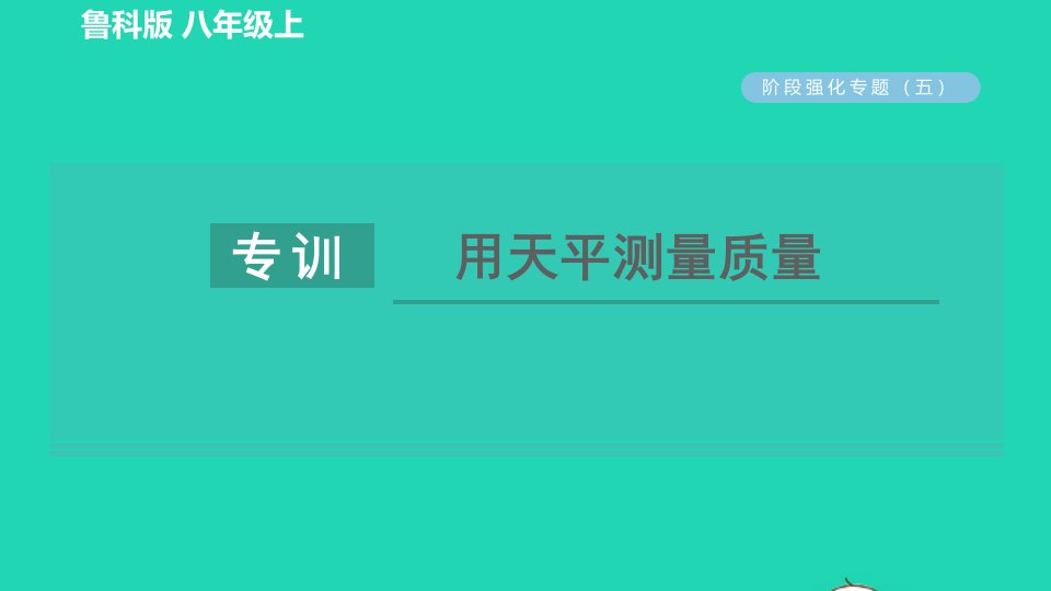 2021秋八年级物理上册第五章质量和密度阶段强化专题五专训用天平测量质量习题课件鲁科版五四制