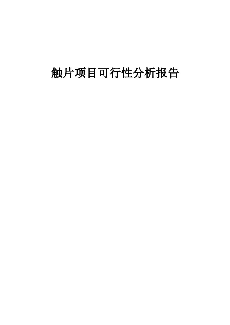 触片项目可行性分析报告