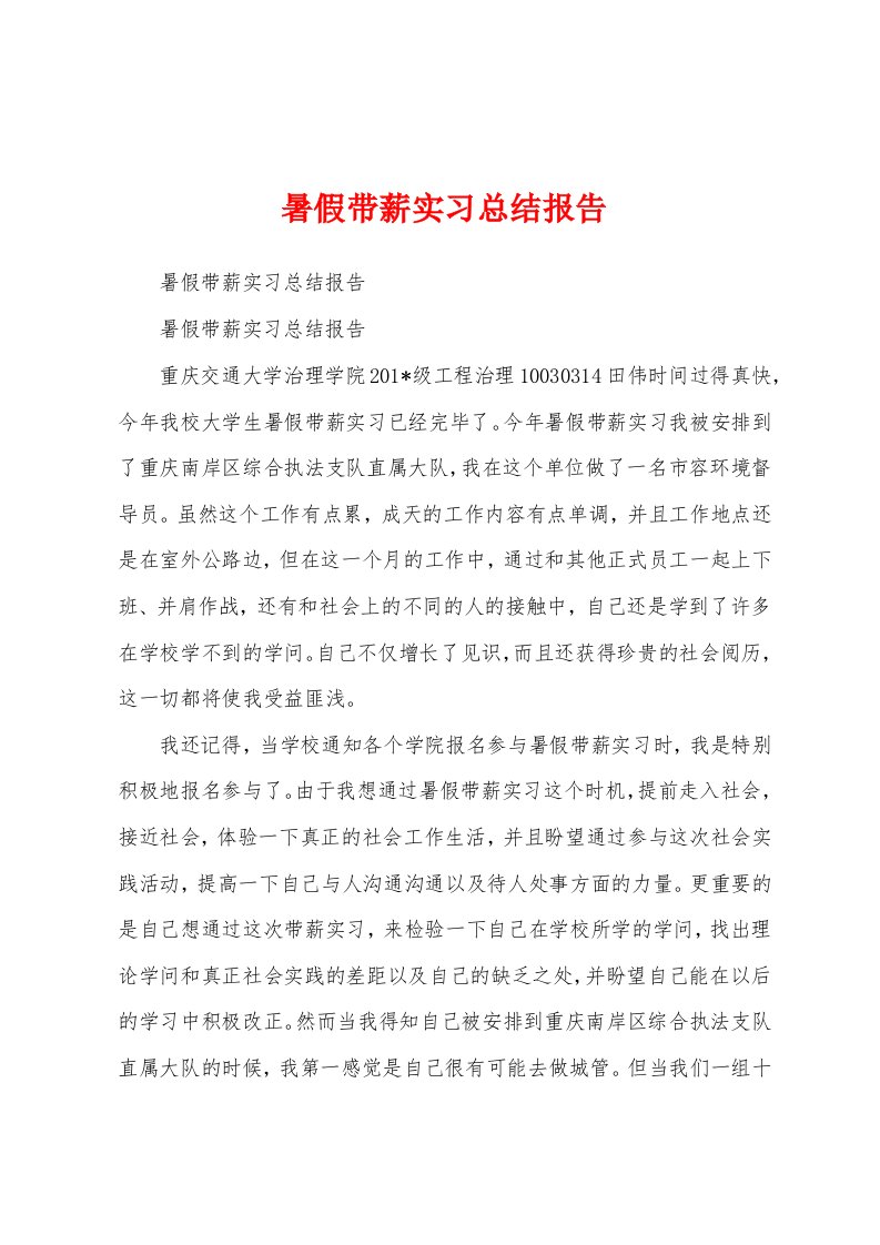 暑假带薪实习总结报告