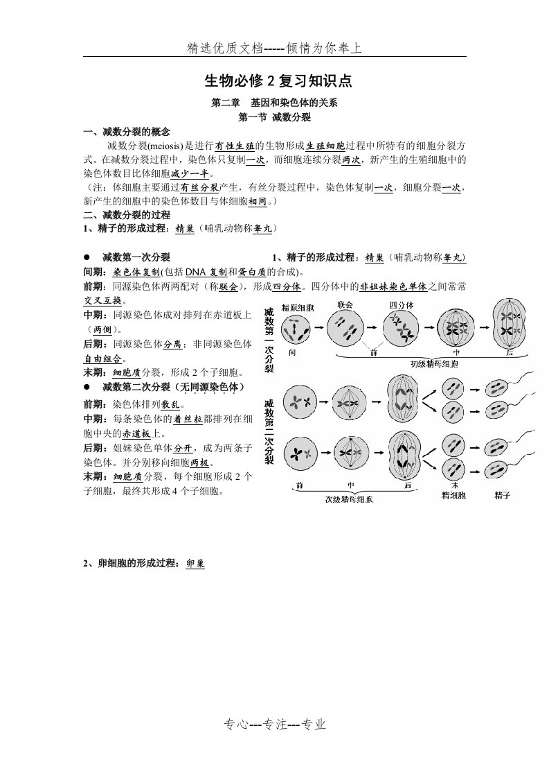 高中生物必修二知识点总结（精华版）(共10页)