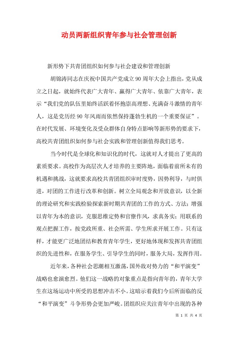 动员两新组织青年参与社会管理创新（十）