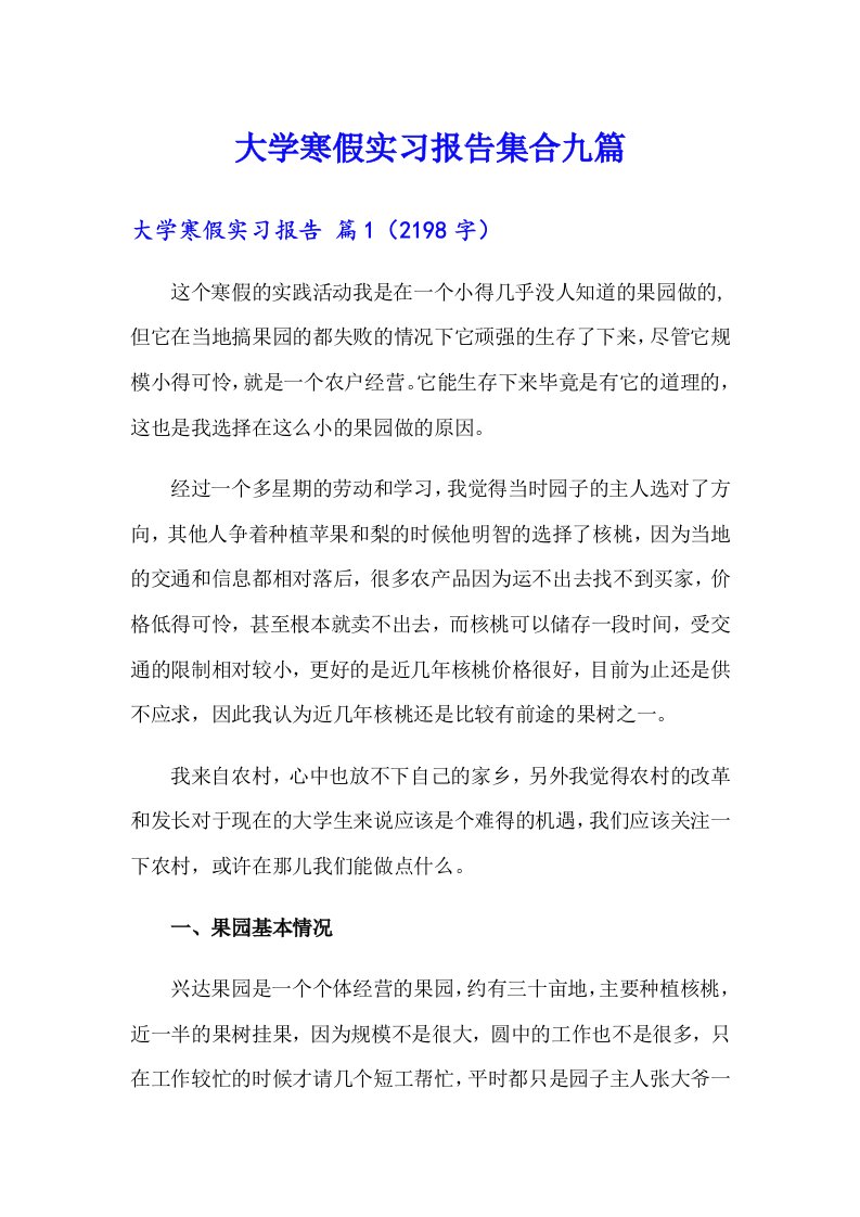 大学寒假实习报告集合九篇