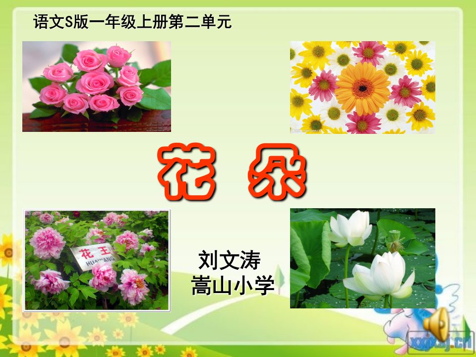 花朵课件.ppt