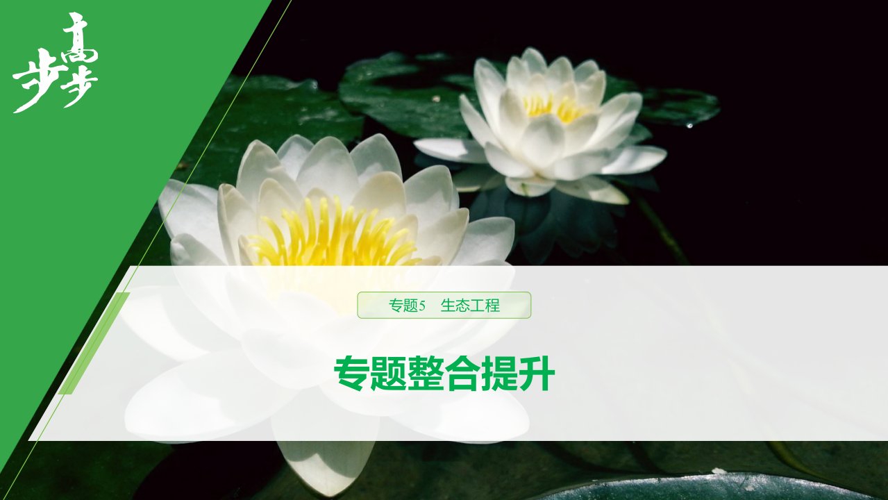 19-20版：专题5