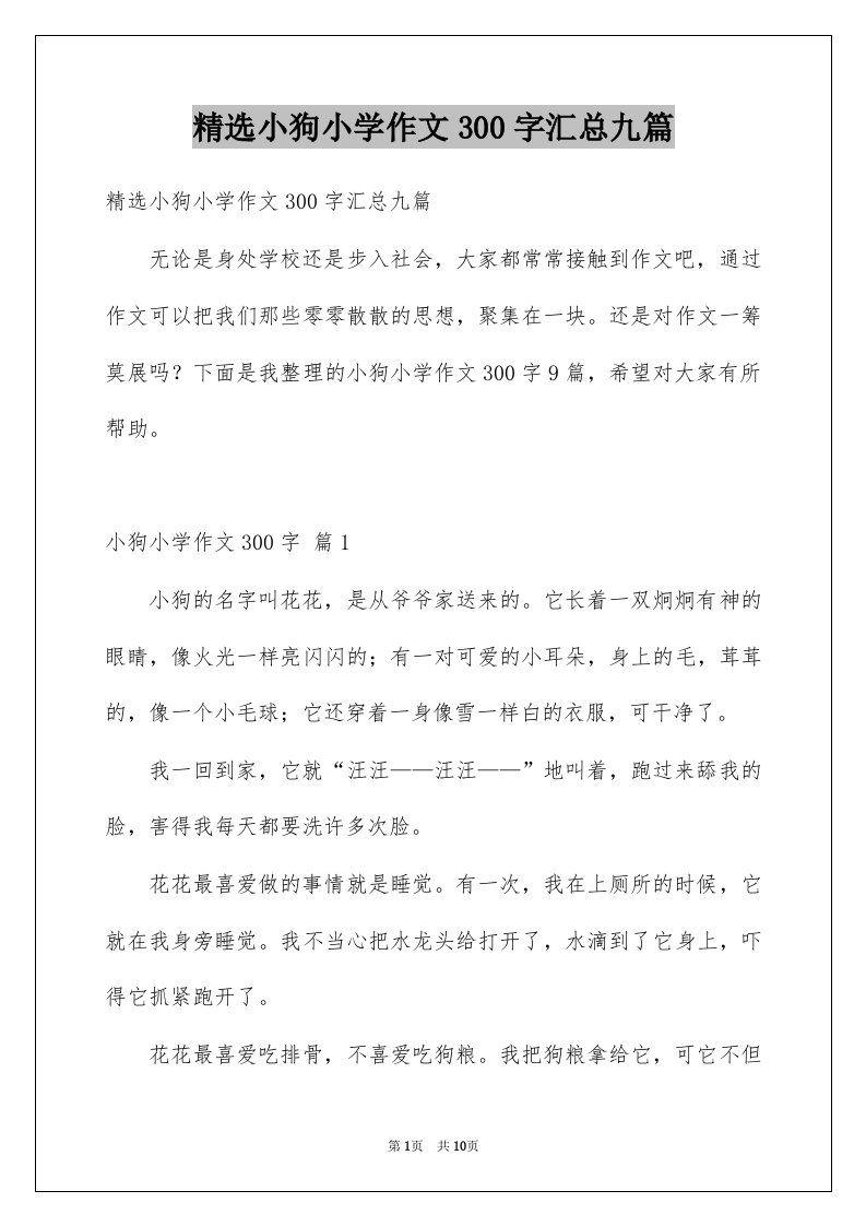 小狗小学作文300字汇总九篇