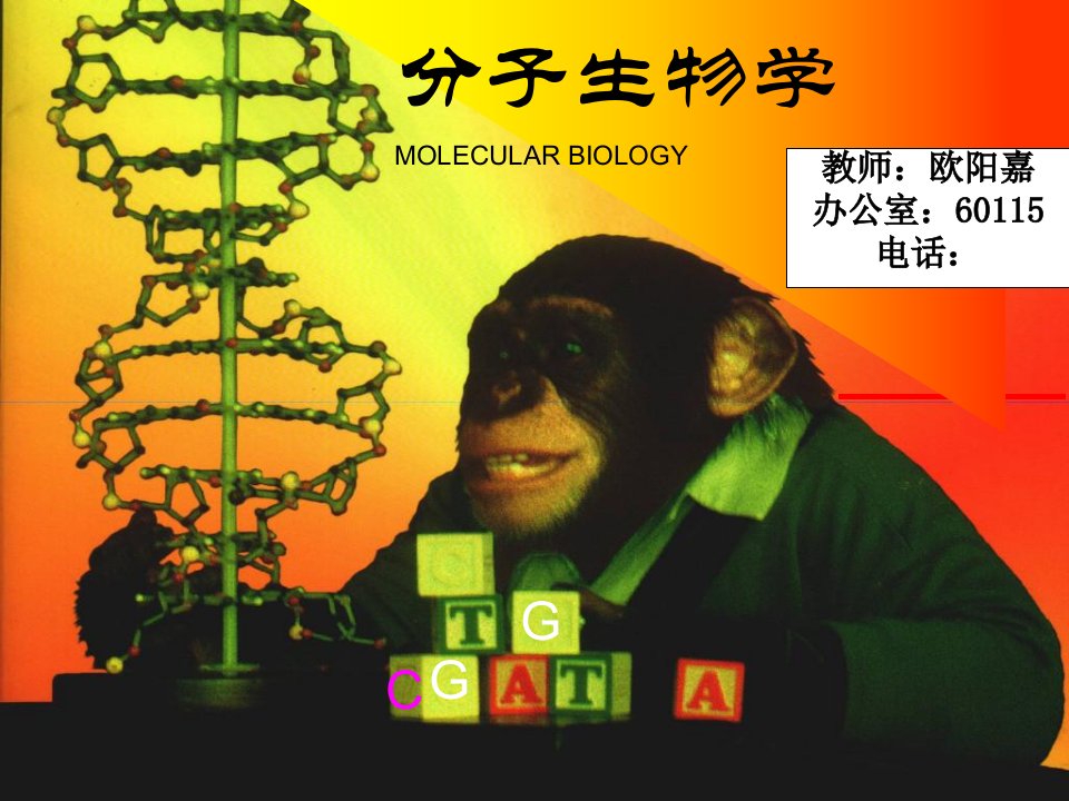 分子生物学导论课件