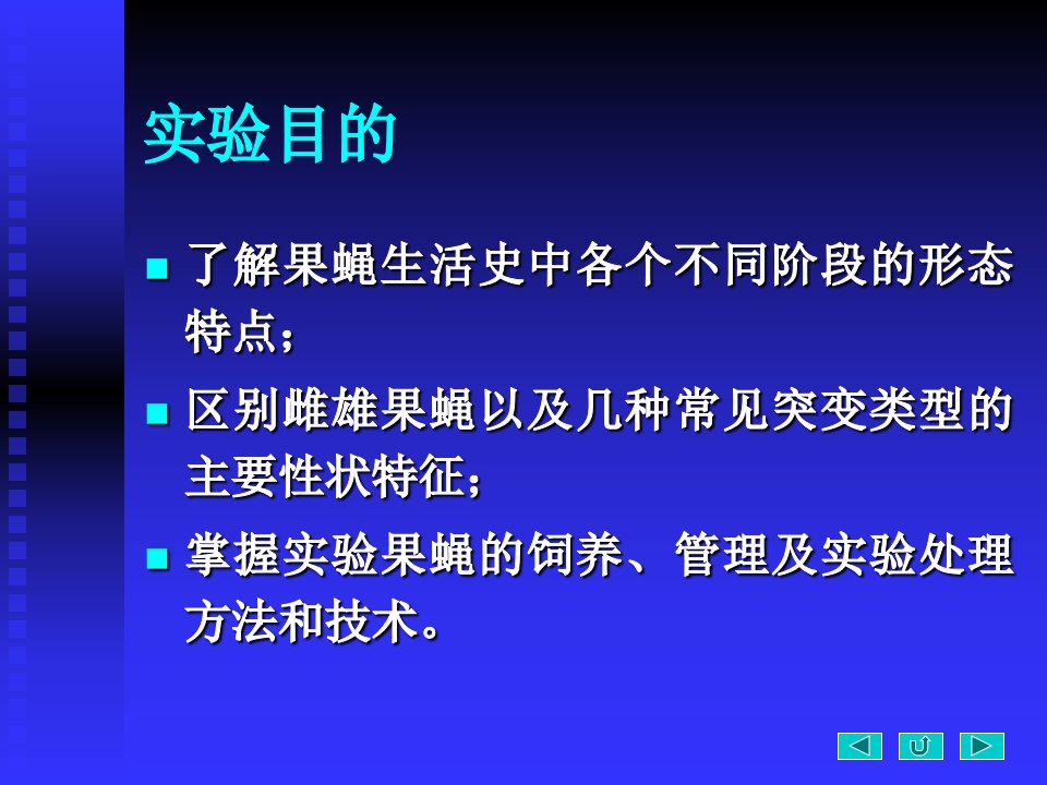 2果蝇形态观察PPT课件