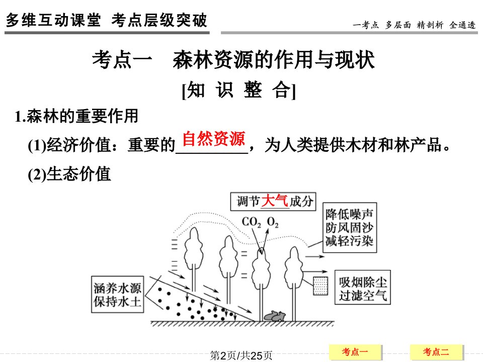 高三地理一轮复习森林的开发与保护