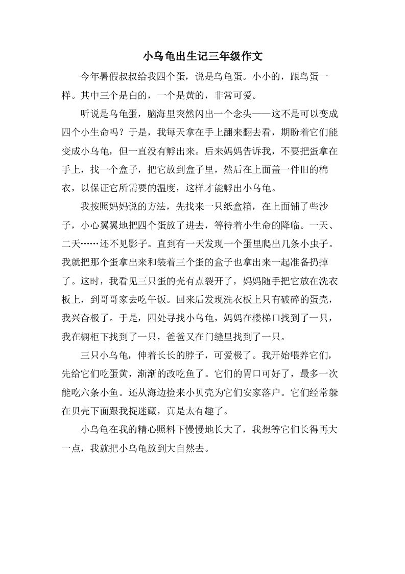 小乌龟出生记三年级作文