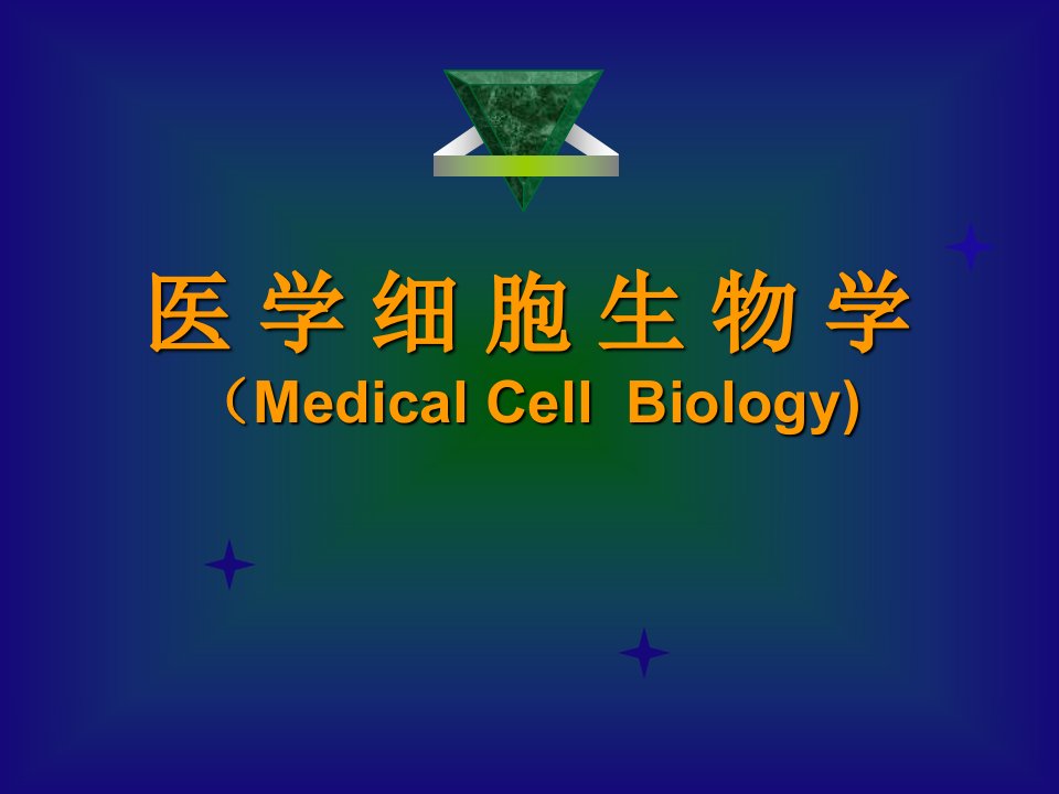 《细胞生物学线粒体》PPT课件