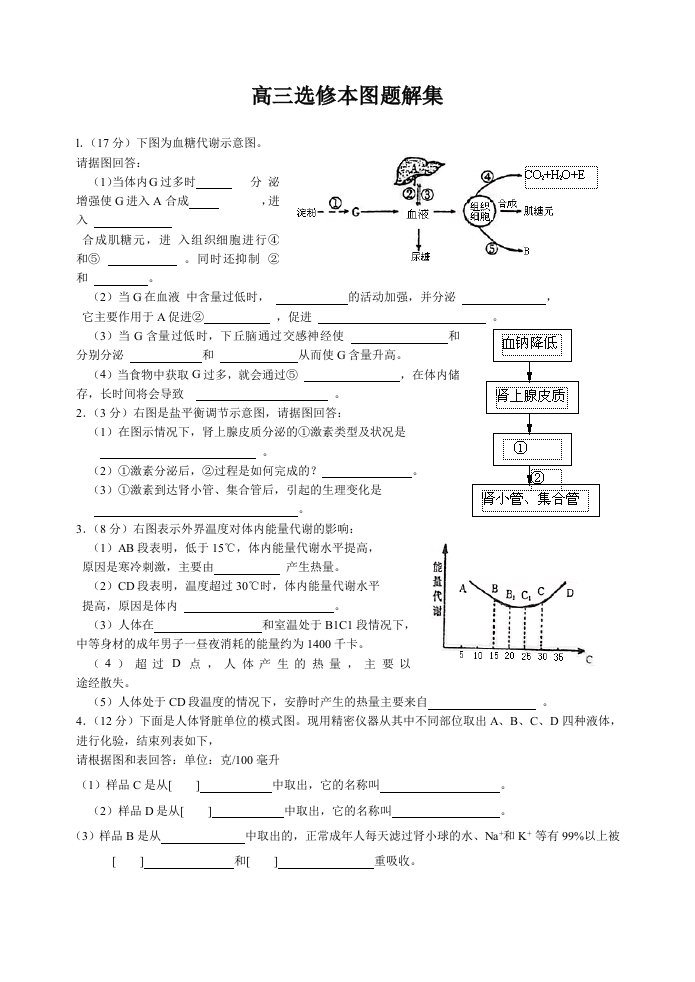 高三阅读理解体裁专项突破议论文