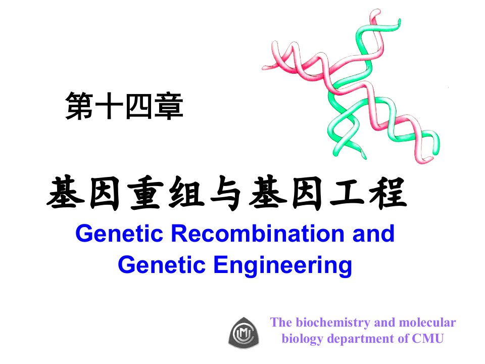 基因重组与基因工程-中国医科大学