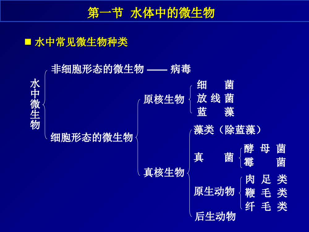 水处置微生物学医学知识