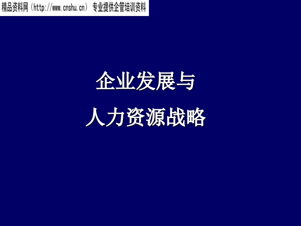 企业发展与人力资源战略管理方案