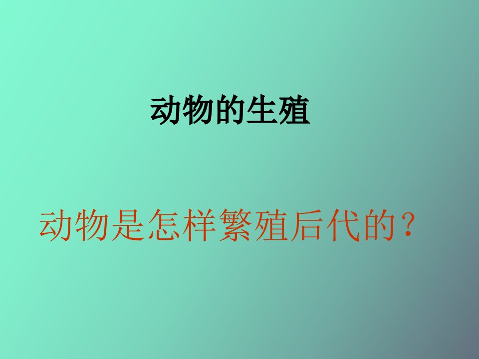 动物的繁殖方式