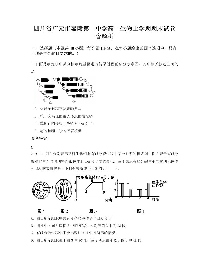 四川省广元市嘉陵第一中学高一生物上学期期末试卷含解析