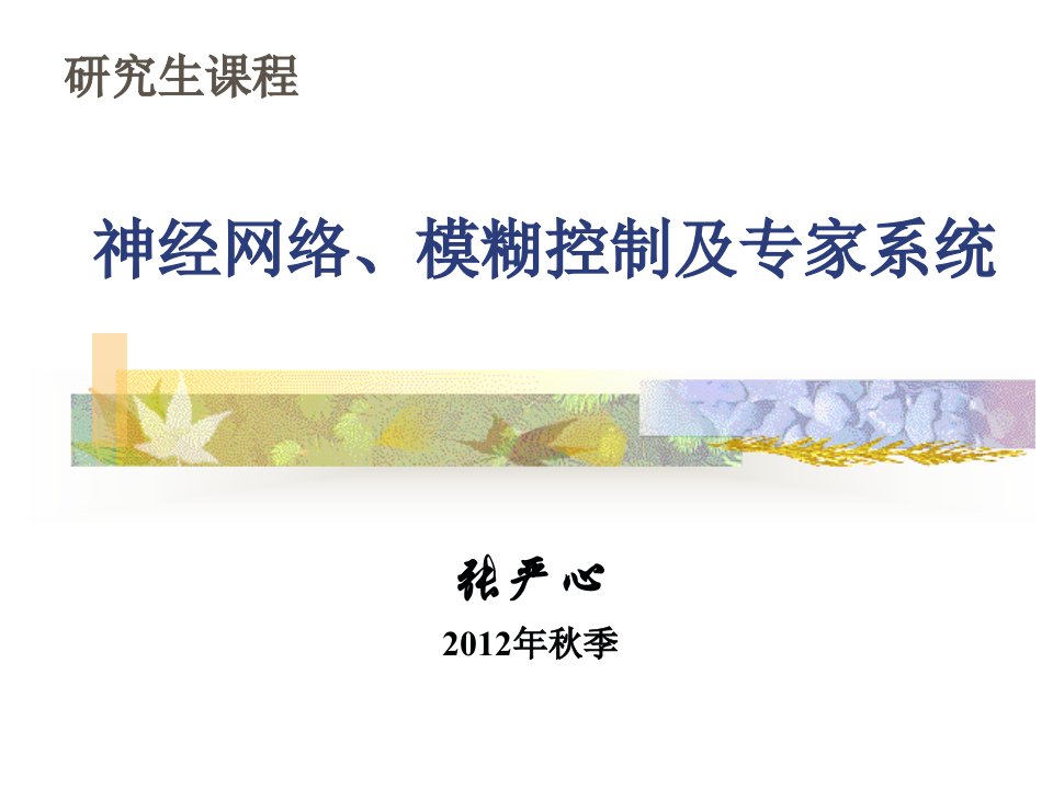 神经网络模糊控制及专家系统第四章