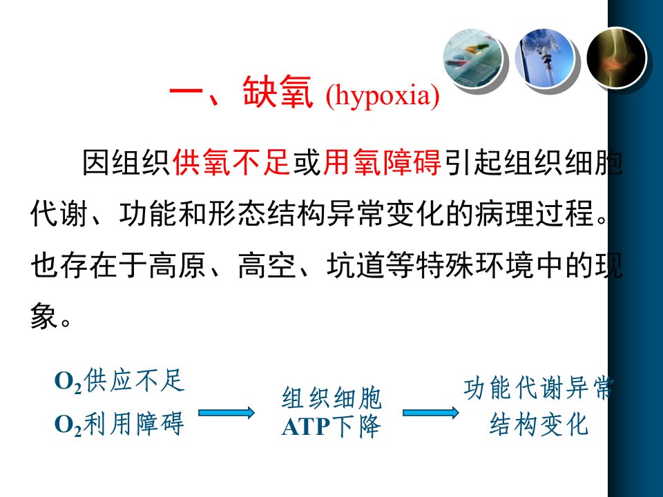 呼吸系统教学资料缺氧1025文档资料