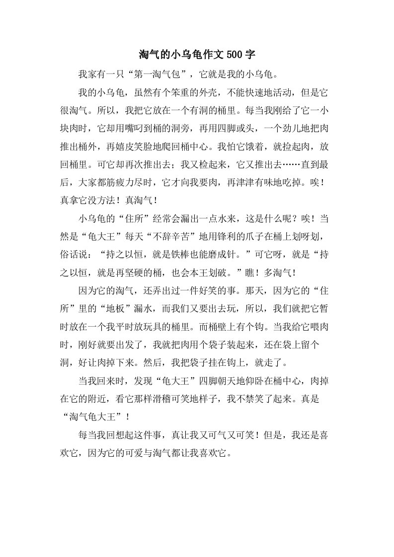 淘气的小乌龟作文500字