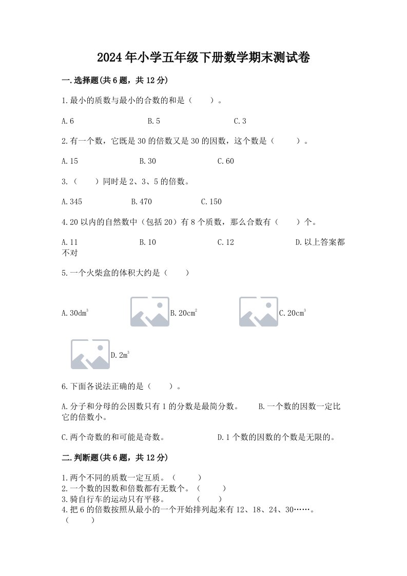 2024年小学五年级下册数学期末测试卷（轻巧夺冠）