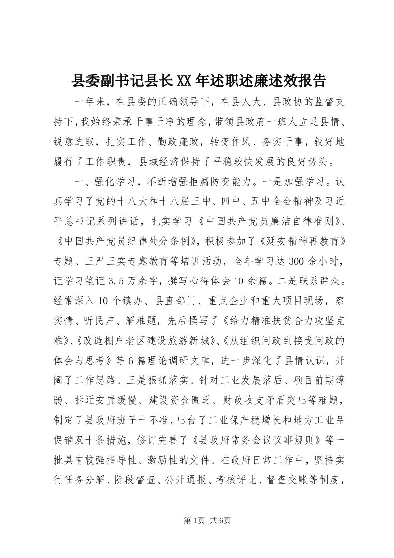 6县委副书记县长某年述职述廉述效报告