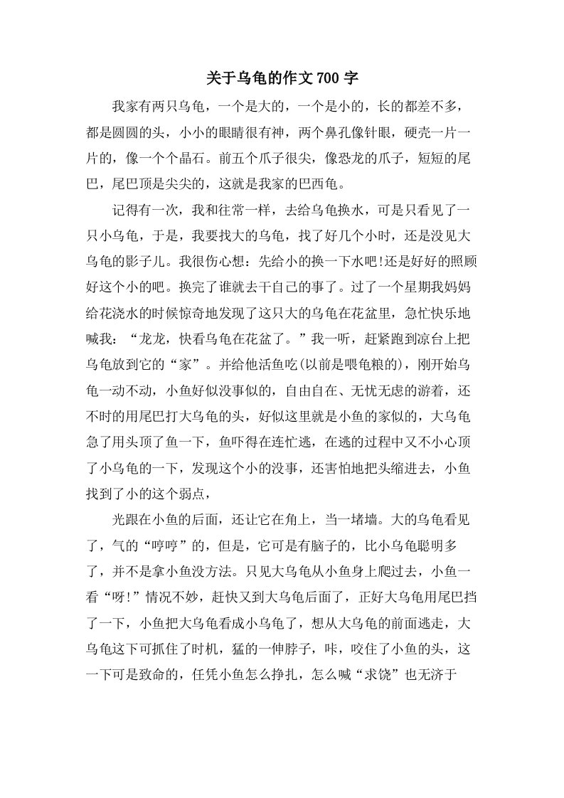 关于乌龟的作文700字