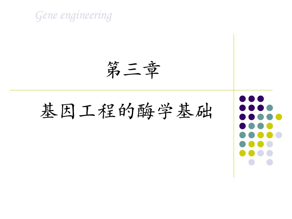 第三章基因工程的酶学基础