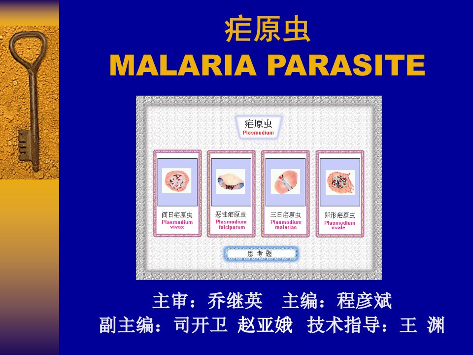 疟原虫MALARIAPARASITE