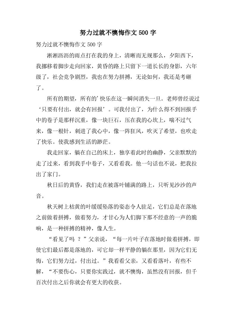 努力过就不后悔作文500字