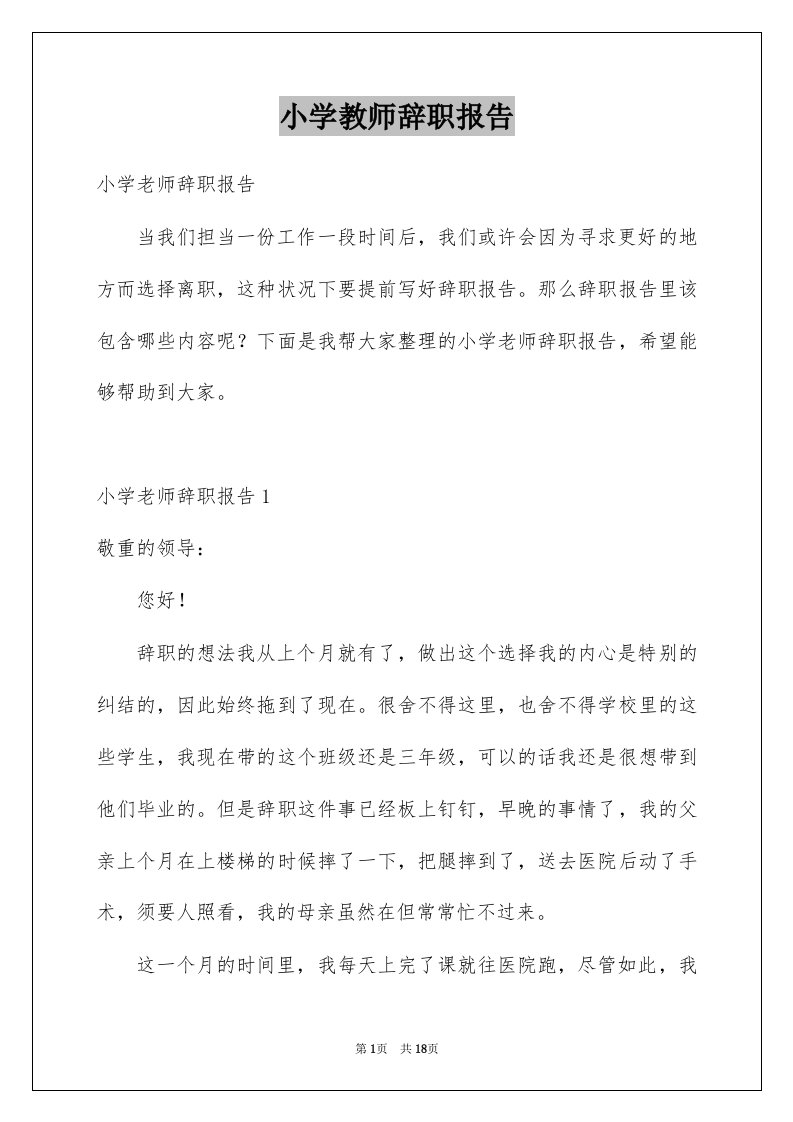 小学教师辞职报告例文5