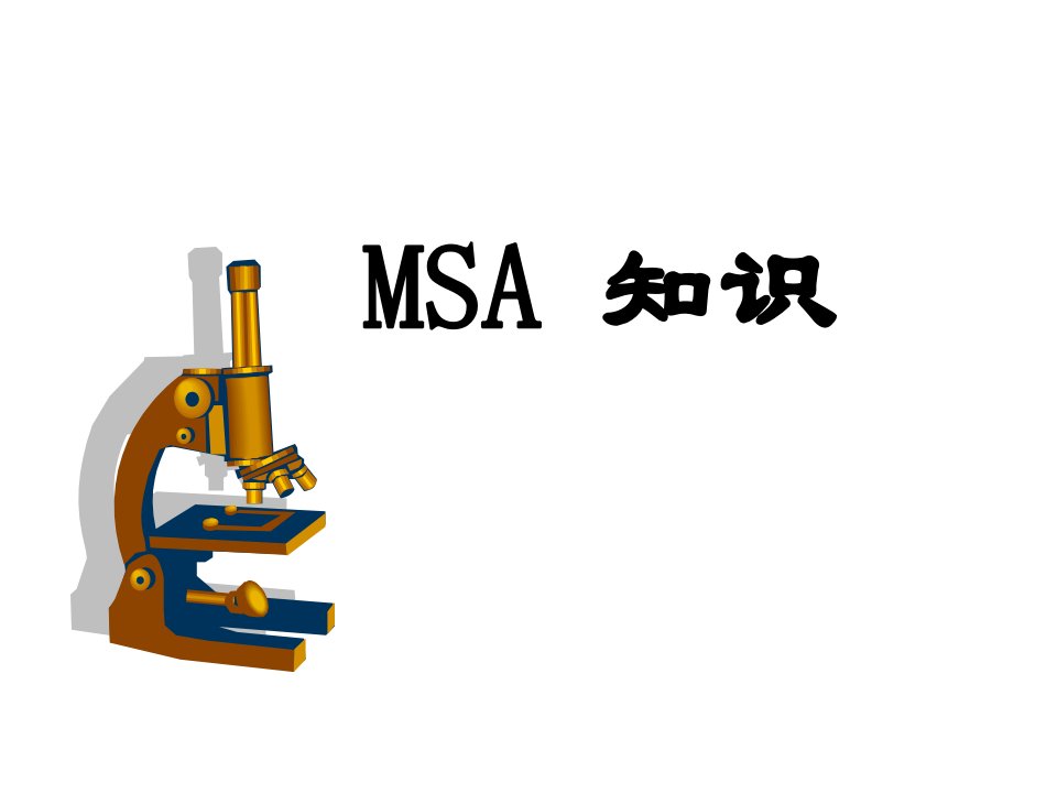 MSA信息解读(经典)