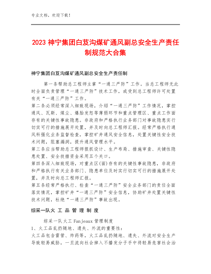 2023神宁集团白芨沟煤矿通风副总安全生产责任制规范大合集