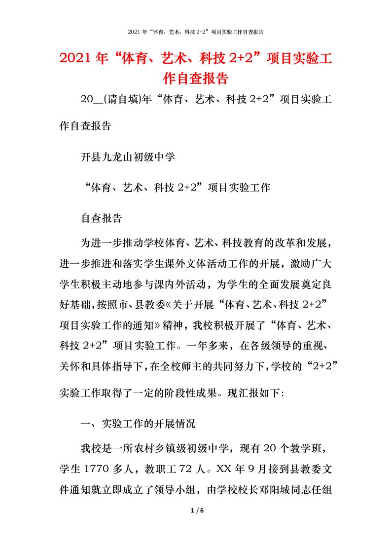 2021年“体育、艺术、科技2+2”项目实验工作自查报告